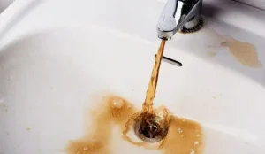 1743637673-2644-large